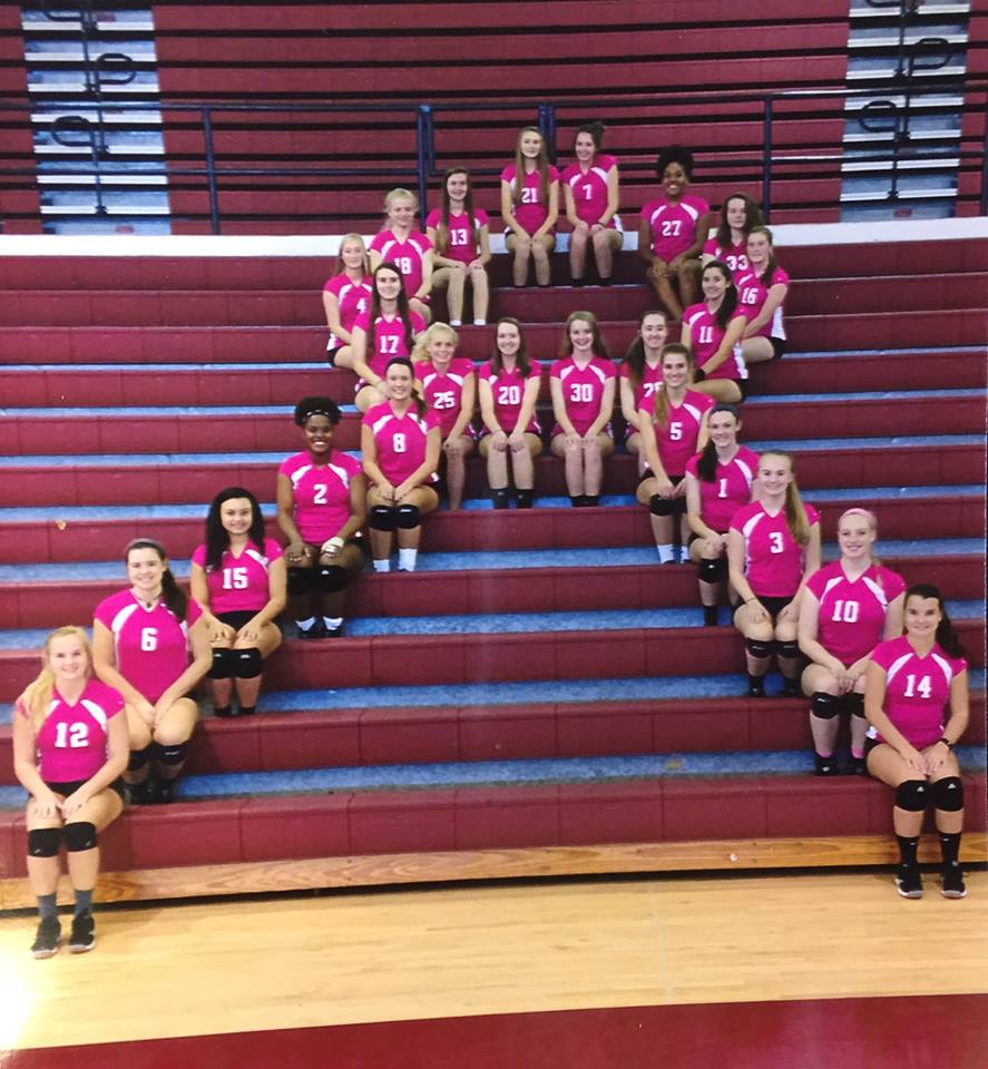 Pink Out Volleyball Game