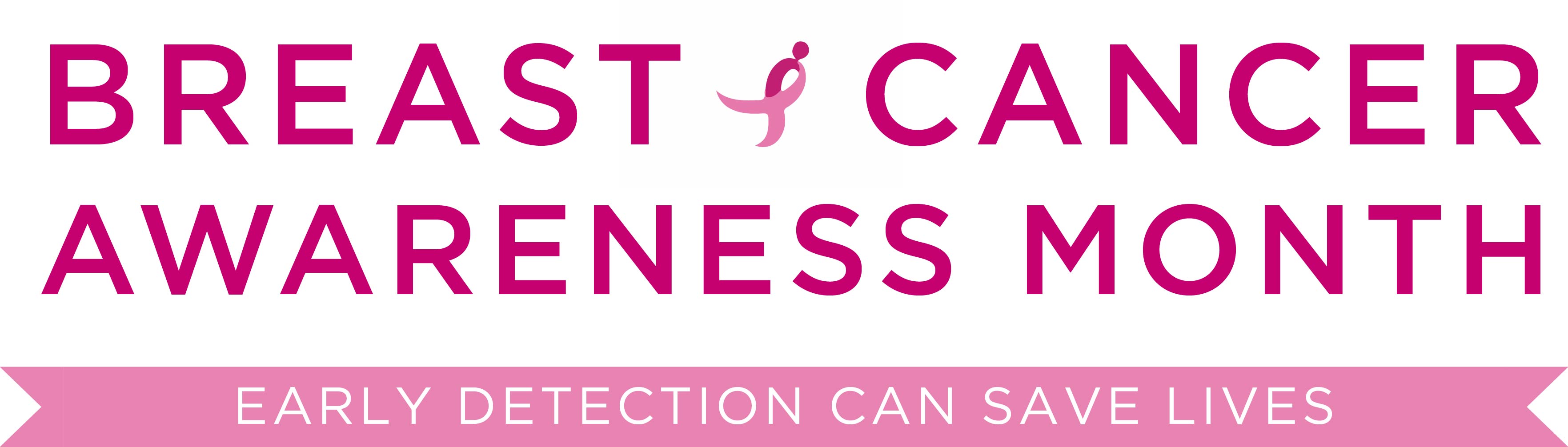 BCAM Logo.jpg