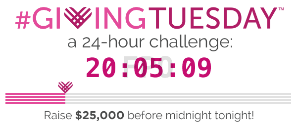 Giving Tuesday 24 Hour Challenge