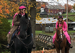 Start or Re-Form Team