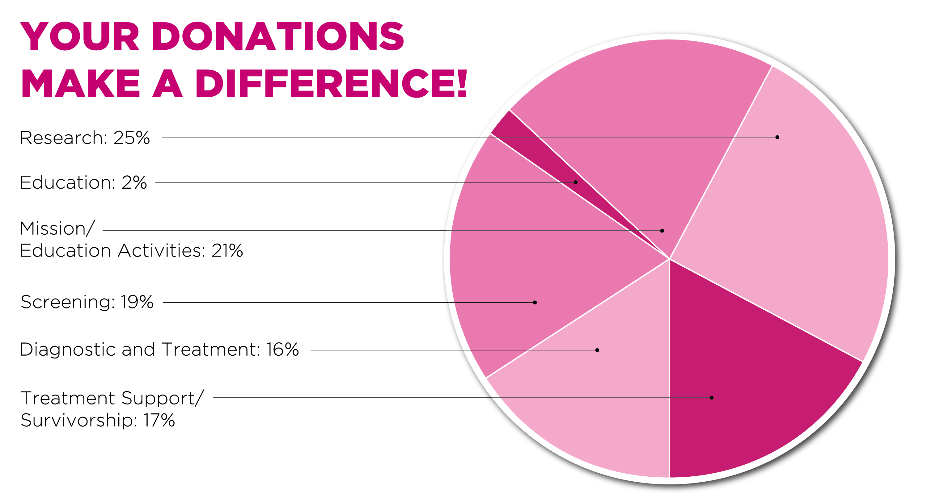 Susan G Komen Spending Pie Chart