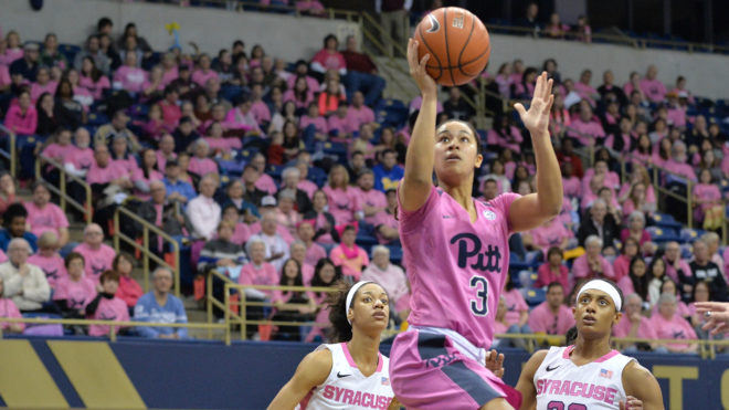 pink the pete photo_1.3.19