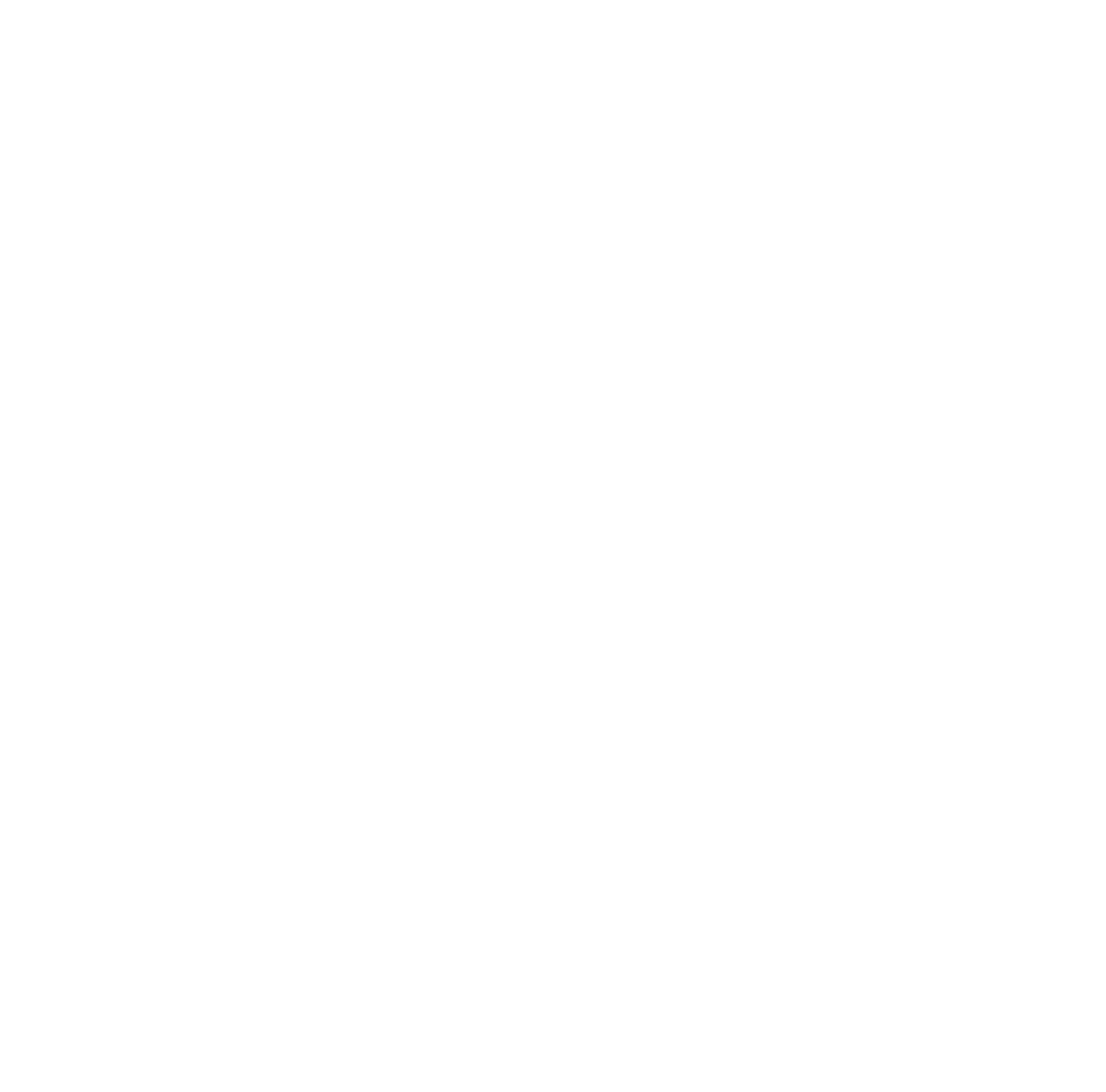 instagram icon - white