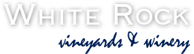 k9 logo.png
