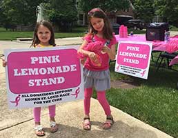 lemonade-stand-story.jpg