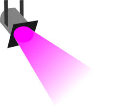 pink Spotlight L.jpg