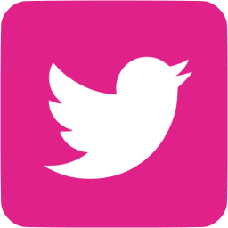 pink Twitter icon - no background