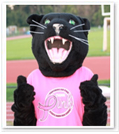 Strath Haven Women's Mascot